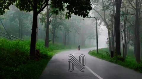 Experience the Enchanting Monsoon Rains of Wayanad at Nadukani Estate 🌧️🌳