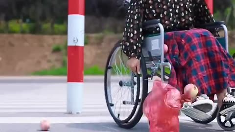 Dog_Pushes_Lady_in_Wheelchair_to_Cross_the_Road,it_was_Good(