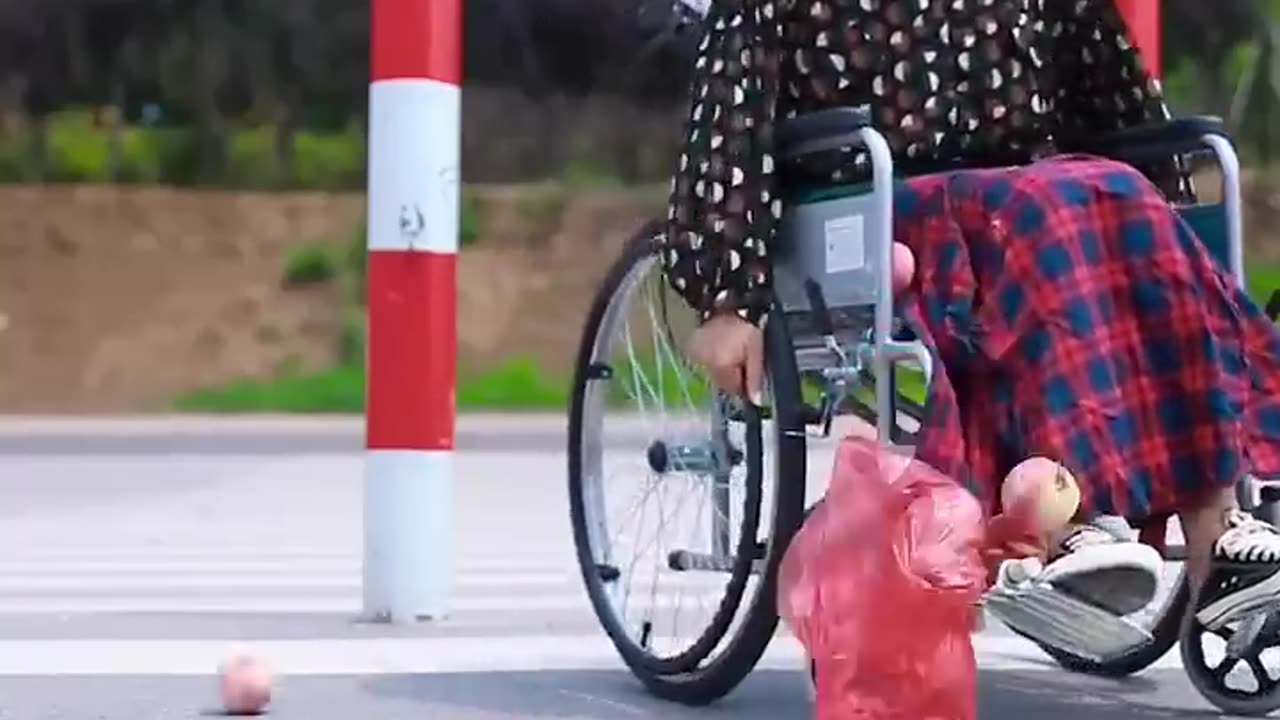 Dog_Pushes_Lady_in_Wheelchair_to_Cross_the_Road,it_was_Good(