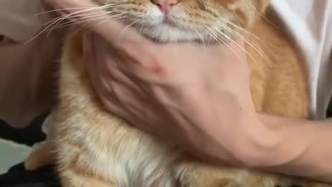I don't feel happy