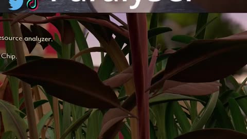 Grounded SCA.B Guide #15 Greystone #shorts #grounded #groundedgame