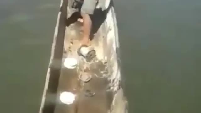 Boy vs big fish , who’s win ?? You must watch
