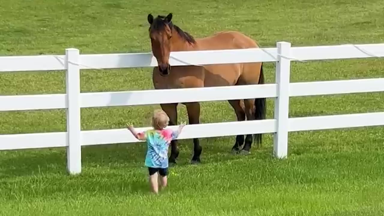 Cute Kiddo Summons Horse Herd! ❤❤