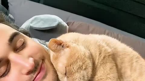 Sleep with the cat