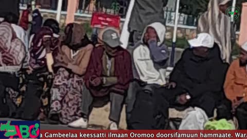 Qophii Arraata Biyyoolessa Oromiyaa Fulbaana 23, 2023