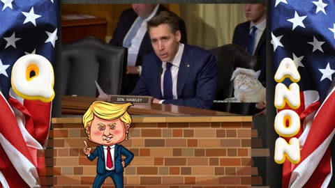 Senator Josh Hawley grilling Dr. "Your Goddamn Right I did"