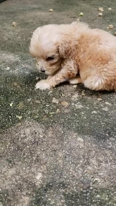 Cissye cleans up 9.8.21