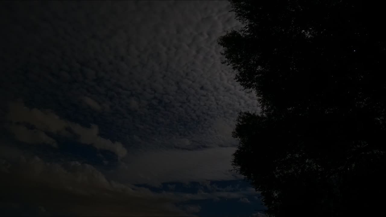 Life in motion