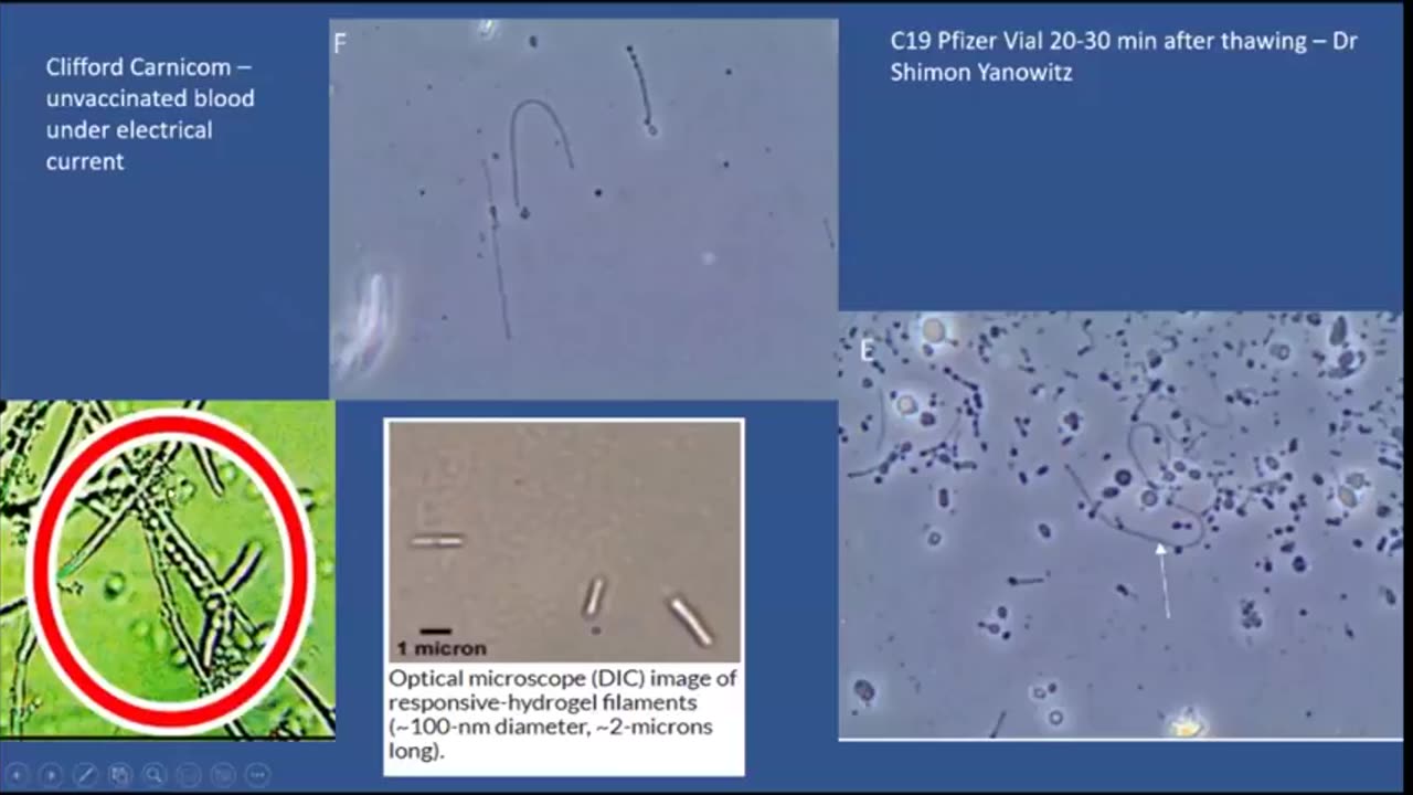 COVID-19 has taken Environmental Bio and Geoengineering to the next level