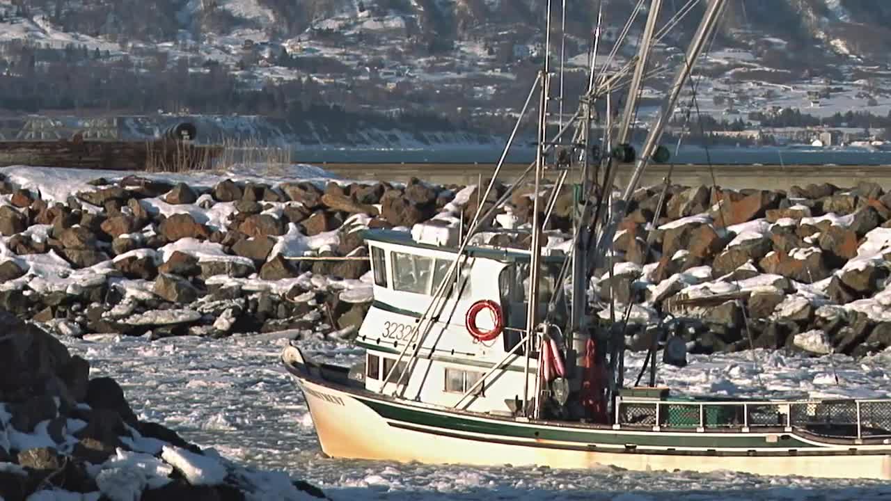 L'ADN des poissons à l'épreuve