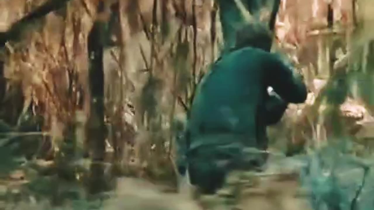 Movies, movies video,Hd videos