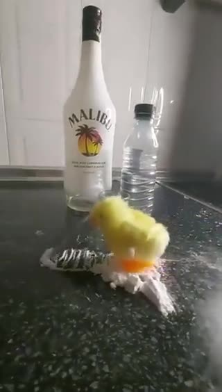 Where’s Hunter 😂😂😂