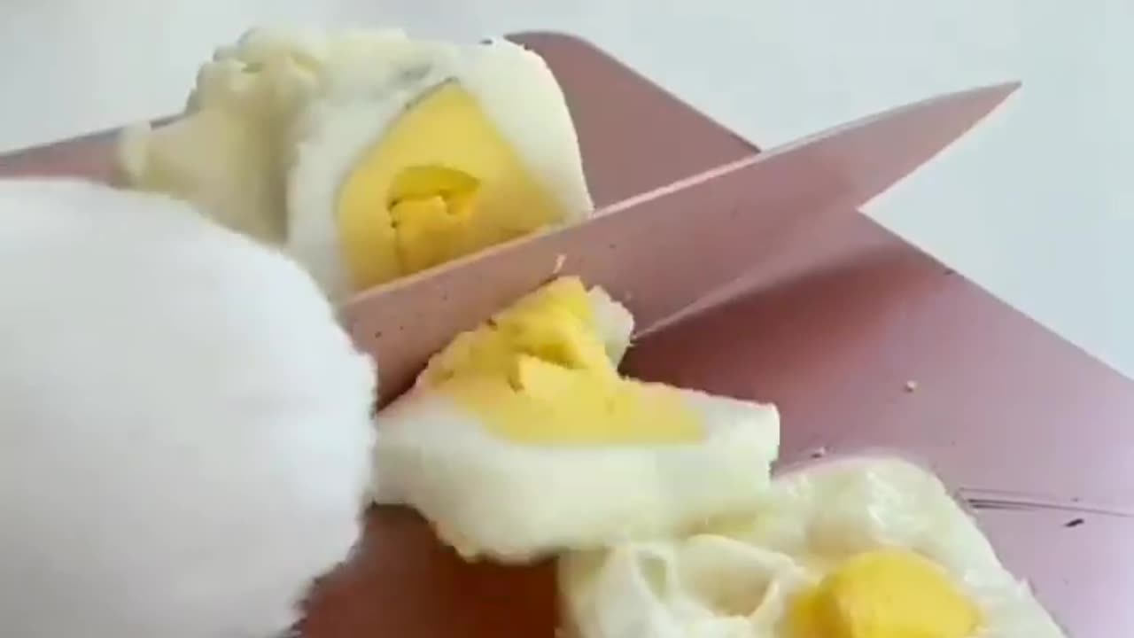 chef cat