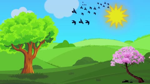 Cartoon Video