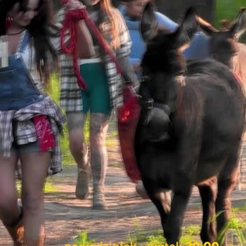 Nowe pary uczestników? Premiera nowej „Farmy” już 8 stycznia!