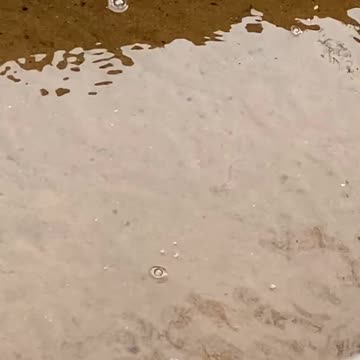 WHAT IS THAT SWIMMING?