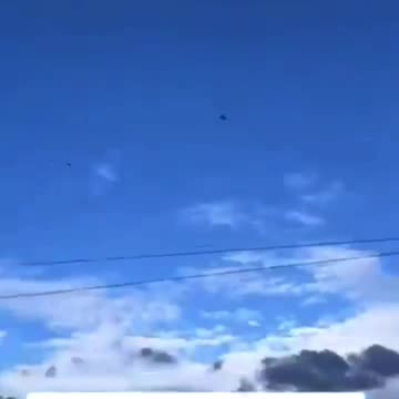 Helicopter was dropping mosquitoes!