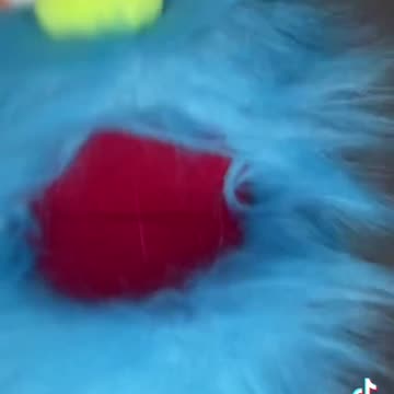 The Inappropriate Muppets