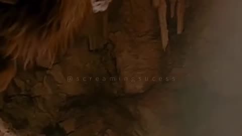 Don't give up your are closer than you think