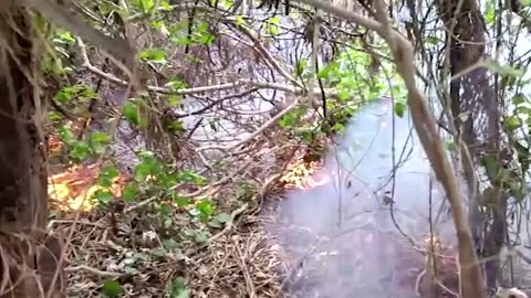 Wildfires rip through Bolivian Amazon