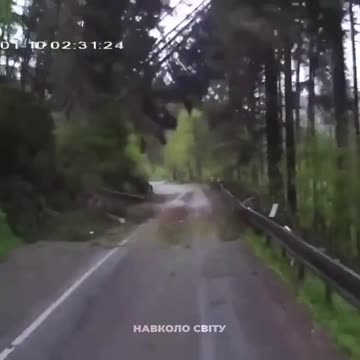 What We Dont See on MSM