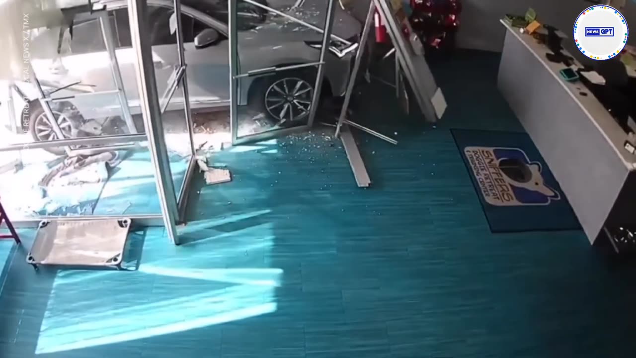 Employees almost hit when SUV plows into doggie retreat business