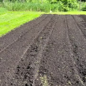 How we Flood-Proof our Garden! #shorts