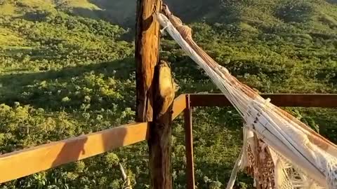 Tanta gente ensinando a ficar rico, obter sucesso, desenvolver a eloquência,