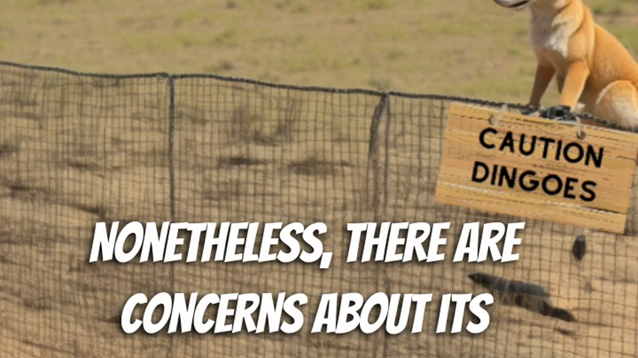 The Dingo Fence | Interesting History