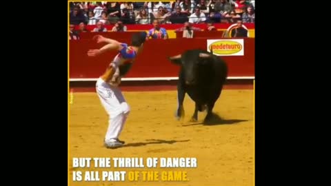 Best Bull Fight technique full bullfighting in Spain very dangerous