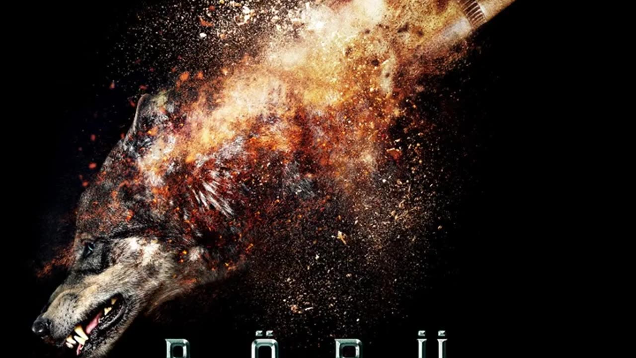 Börü Orchestra by Lincoln Jaeger