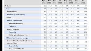 Consumer price index continues to be high