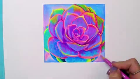 How to draw a succulent with colored pencils - time lapse drawing video