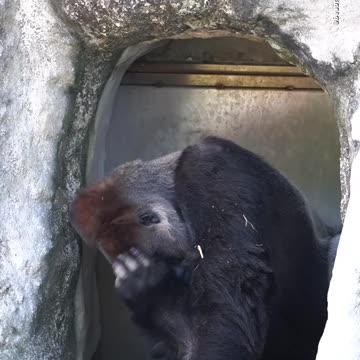 Here comes another Monday