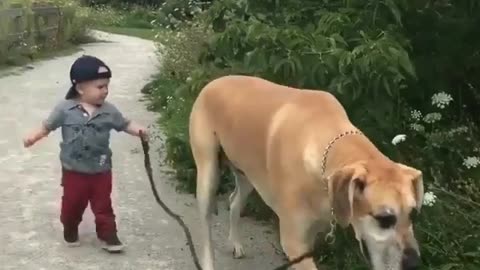 A boy with Great dane/best friend