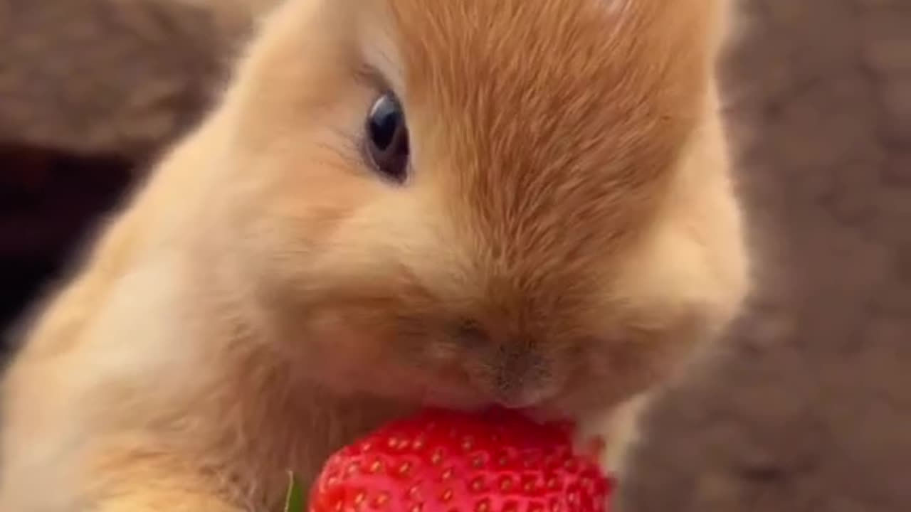 cute