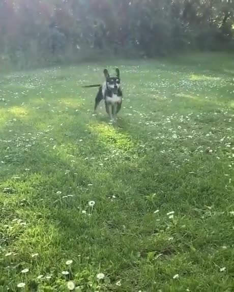 When you go to eat goodies 😜😁😜😁😁