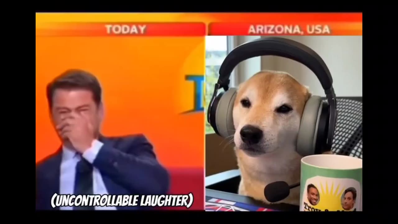 the new newspaper anchor πΆπ
