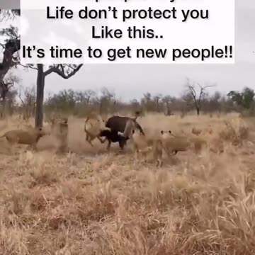 What it would look like if people of the World United against the Deep State / Elite / N.W.O