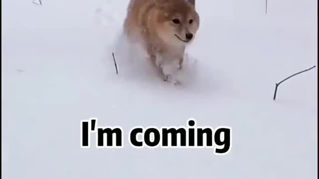 Wait till the end..