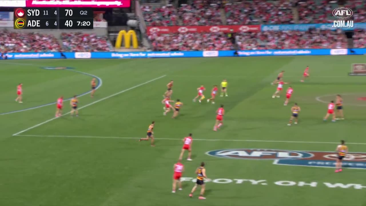 AFL - The Swans came up just short following a fantastic season.