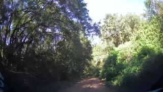 MÚSICA CAIPIRA E MODA DE VIOLA