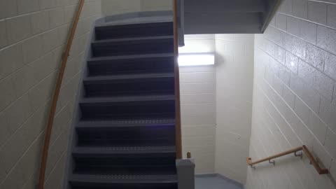 3878FHOB03Stair11_2021-01-06_13h00min03s263ms.mp4
