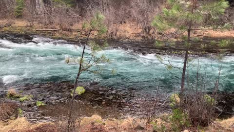 The Beautiful Shades of Metolius River – Central Oregon