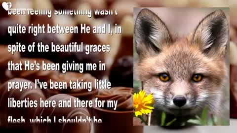 Self-Love & Lukewarmness... It is the little Foxes that spoil the Vine ❤️ Love Letter from Jesus