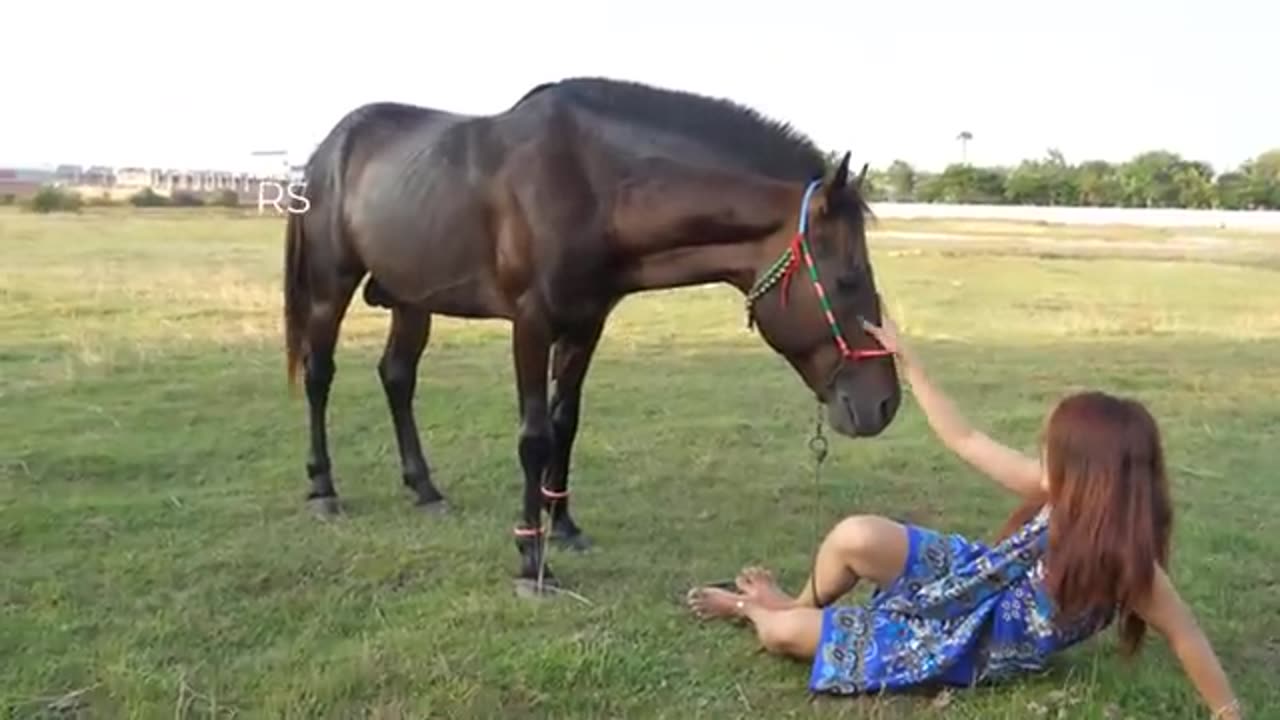 Smart Girl Training Horse Basics in my village