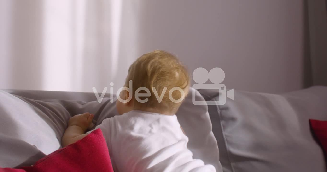 Front View Of A Baby Playing On Sofa In Living Room At Home With Animal Toys