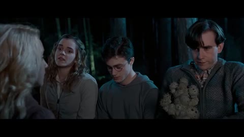 Introducing Lunsarry Potter and the Order of the Phoenix_Cut