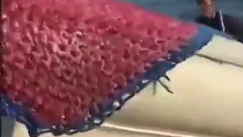 Migrants Trying to MURDER a White Family