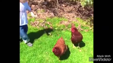 Funny chickens and roosters Chasing kids and adults 😂😂--funny videos compilation 2020._2